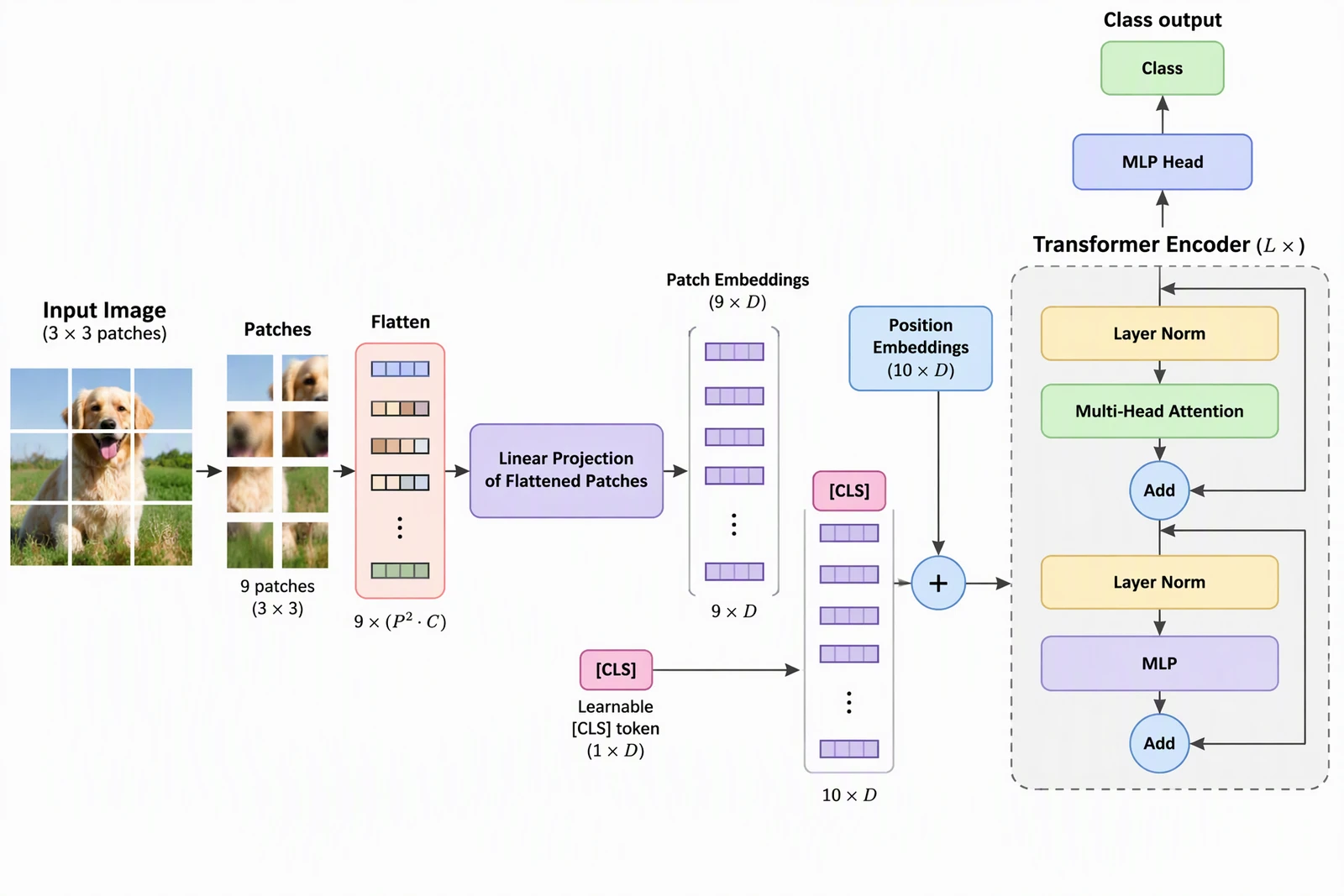 AI-generated Vision Transformer diagram: image split into patches, flattened, linearly projected, CLS token prepended, position embeddings added, Transformer encoder repeated L times, MLP head and class output