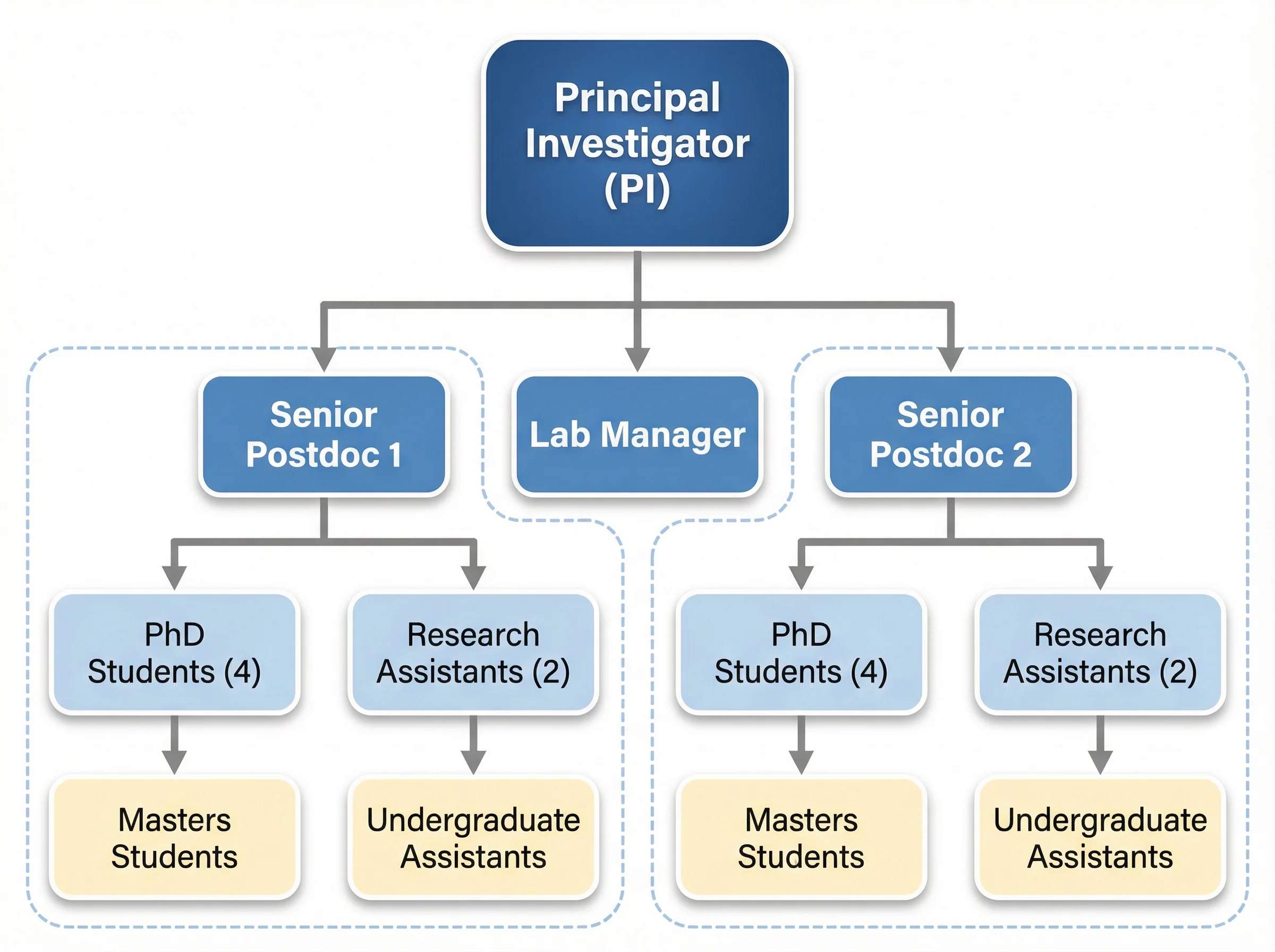 Organizational tree diagram showing the hierarchical structure of an academic research laboratory.