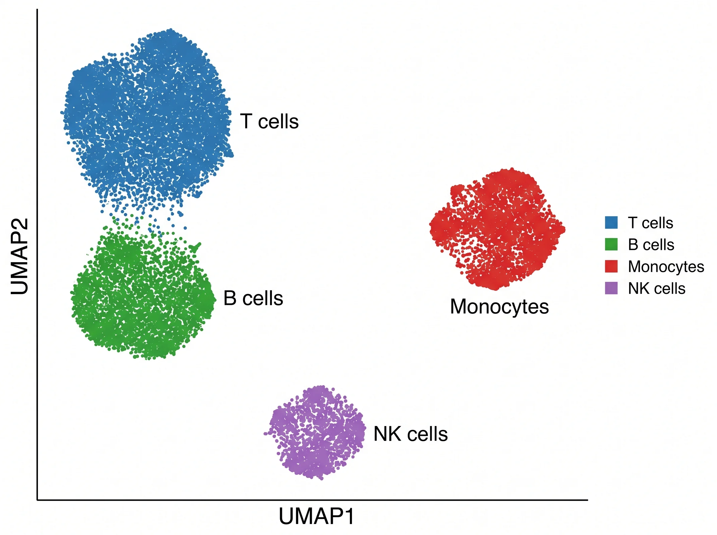 AI-generated UMAP illustration with several colored cell-type islands