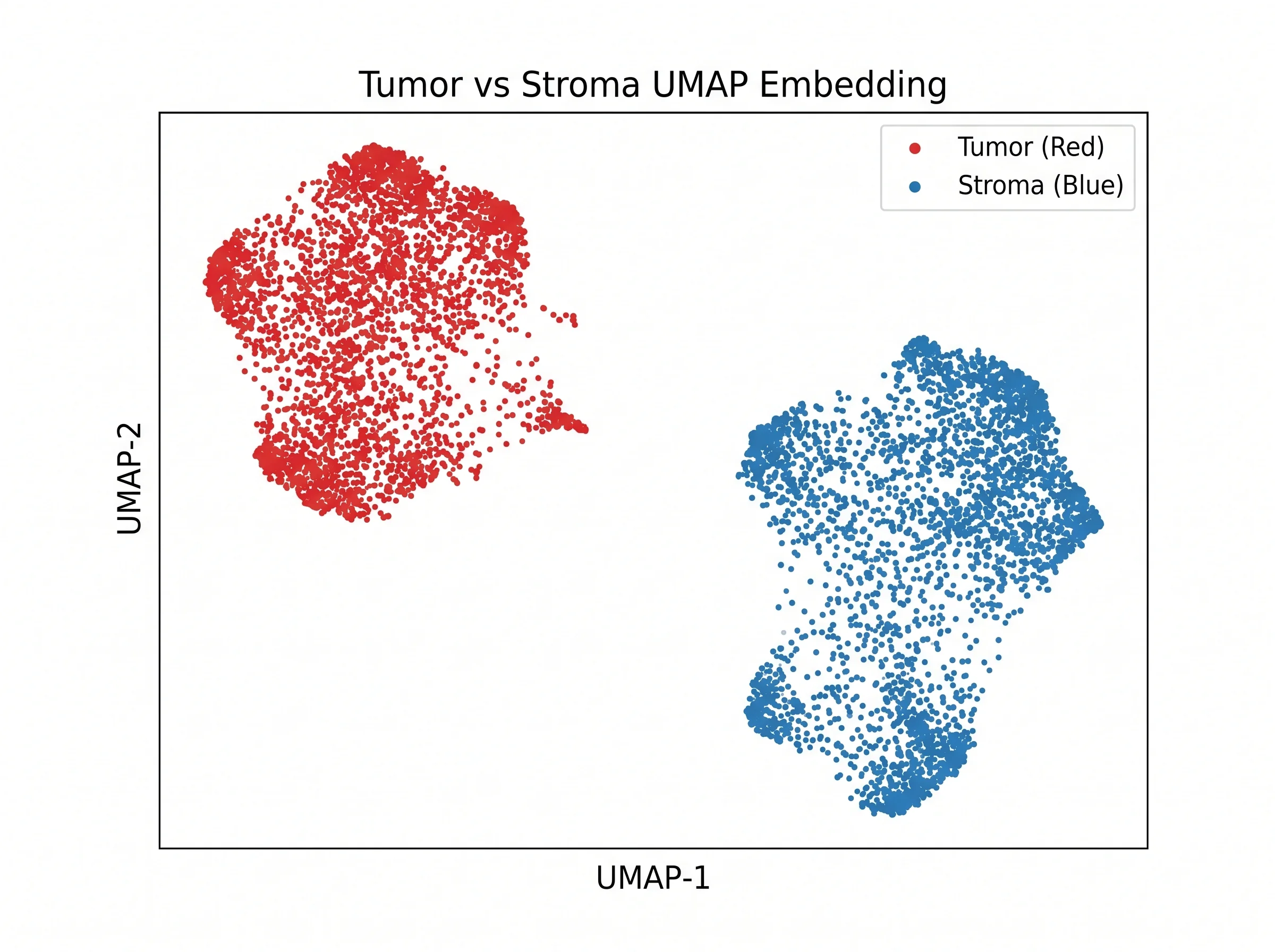 AI-generated tumor versus stroma UMAP illustration