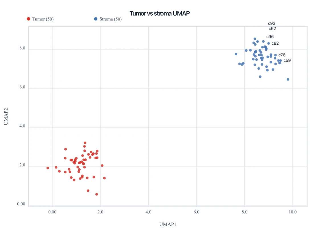 UMAP embedding with tumor and stroma cells as two separate islands