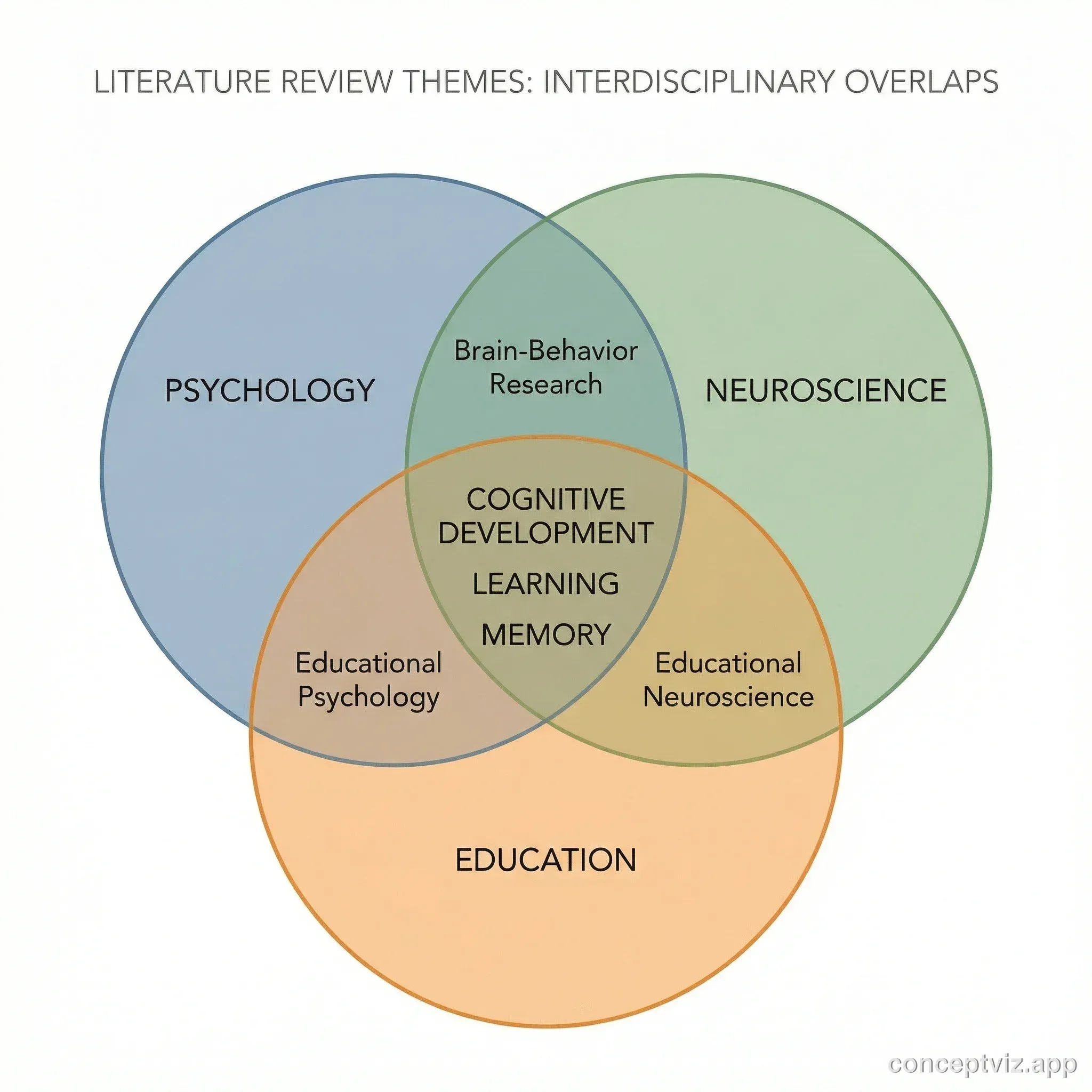 Venn diagram showing overlapping themes from three bodies of literature in a systematic review.