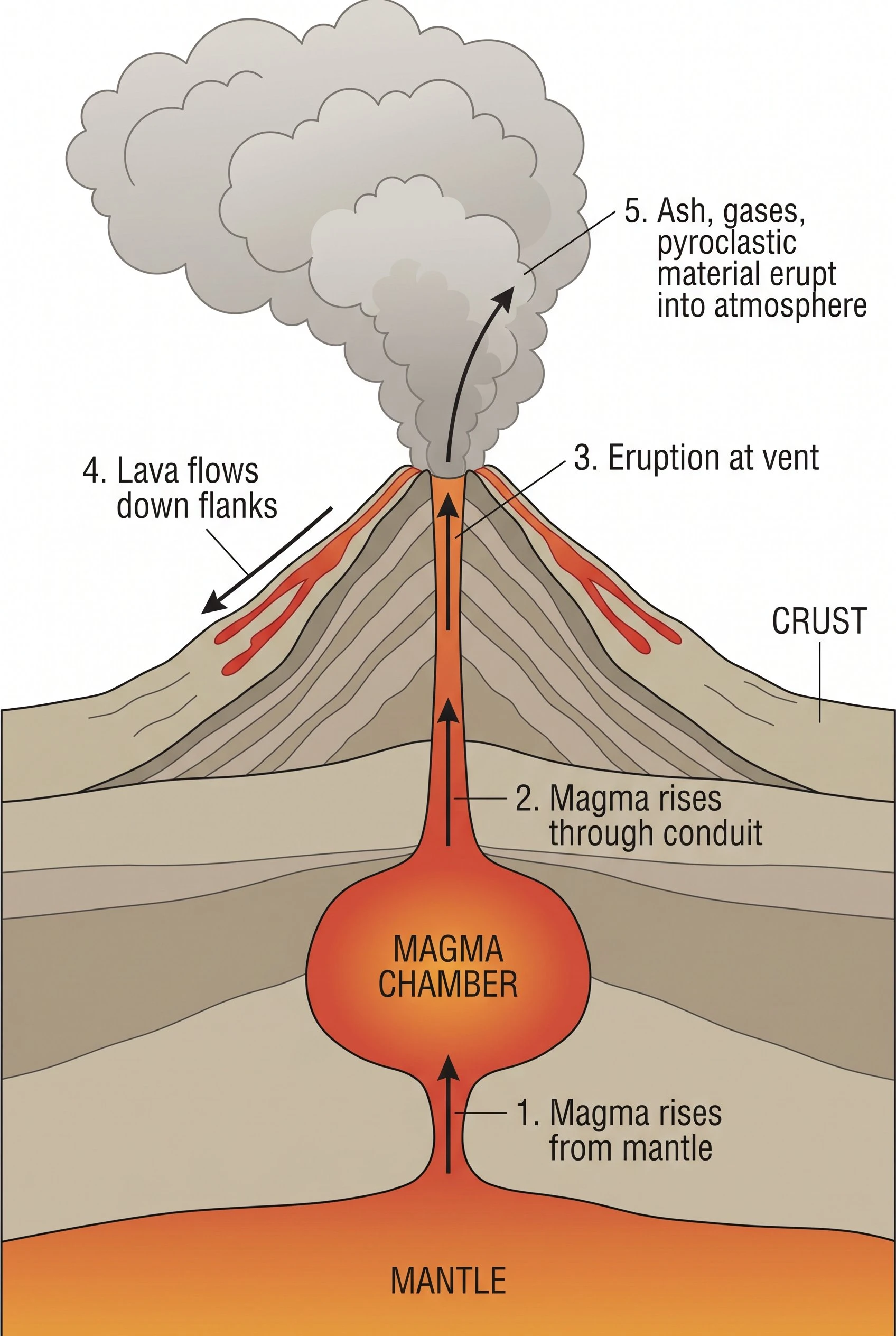 Diagram showing how a volcano erupts: arrows trace magma rising from the mantle through the conduit and vent, lava flowing down the sides, and ash and gases erupting into the atmosphere