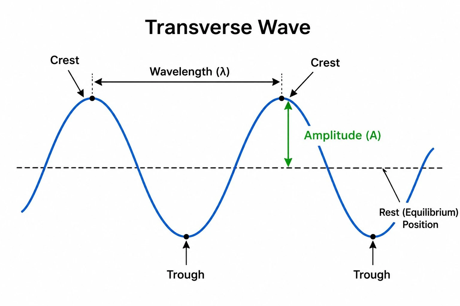 Labeled transverse wave diagram showing crest, trough, amplitude, wavelength, and equilibrium line