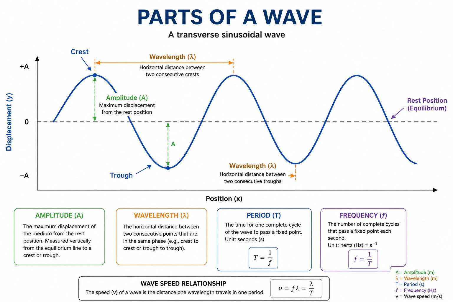 Parts of a wave diagram labeling crest, trough, amplitude, wavelength, rest position, frequency, and period