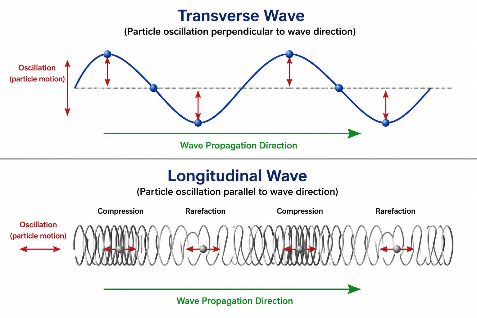 Side-by-side comparison of a transverse wave and a longitudinal wave showing particle oscillation direction relative to wave travel direction