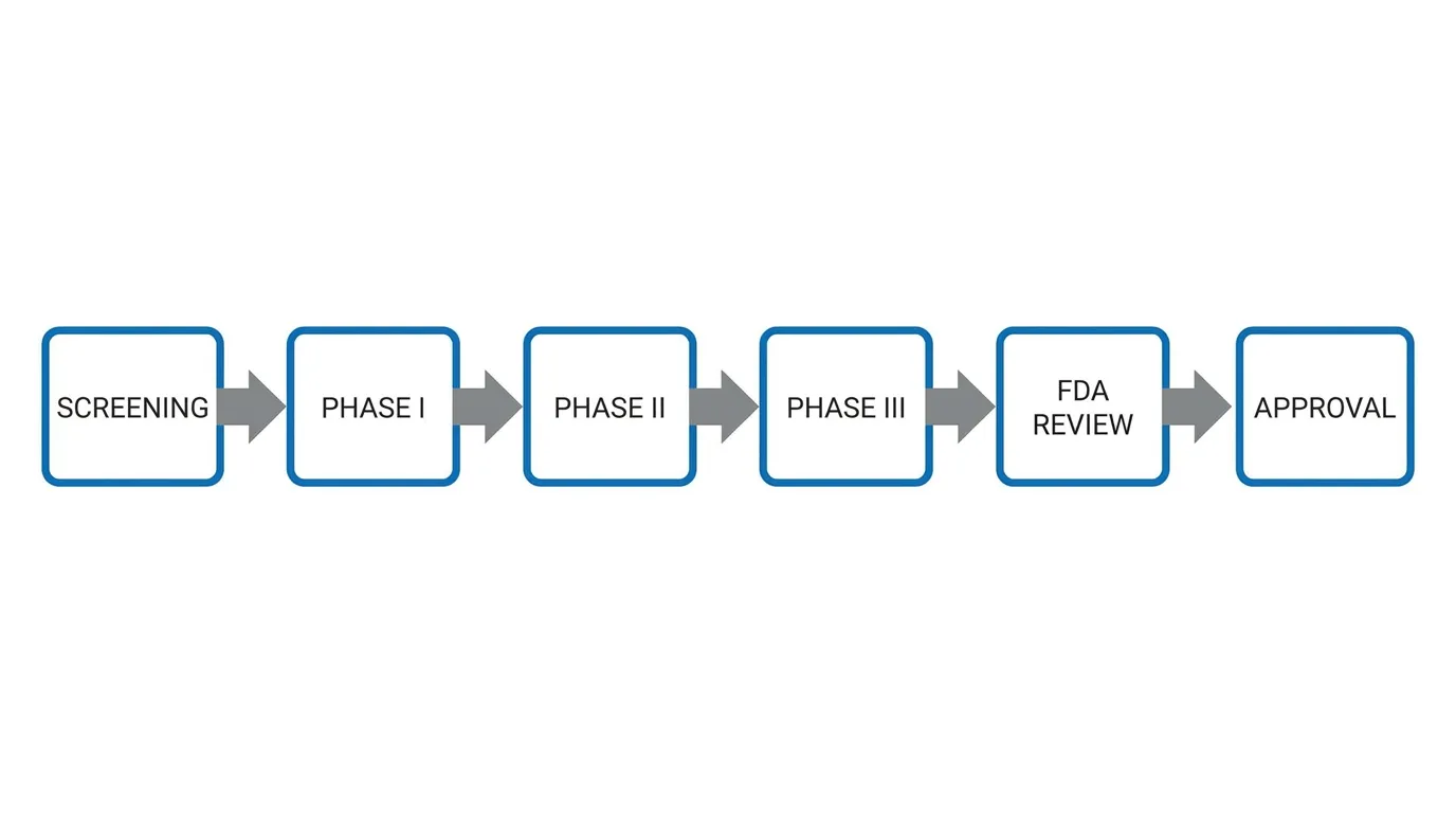 Diagramme de workflow des phases d'essai clinique