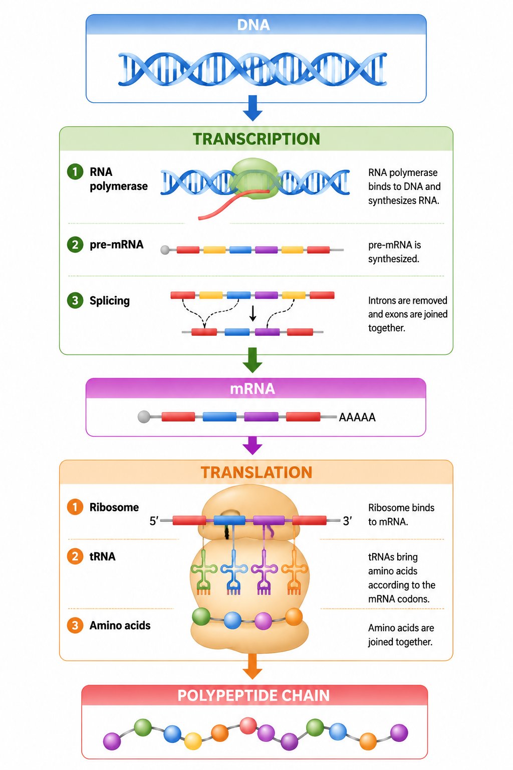 Gene expression